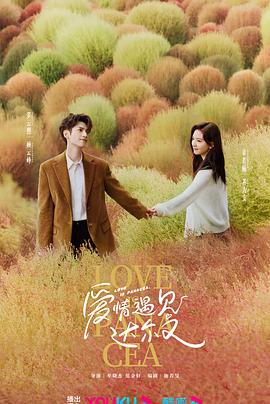 商业类网站布局优化策略